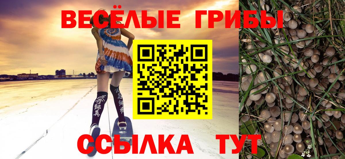 Псилоцибиновые грибы Cubensis Учалы